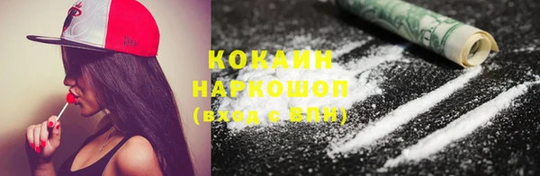спайс Гусев