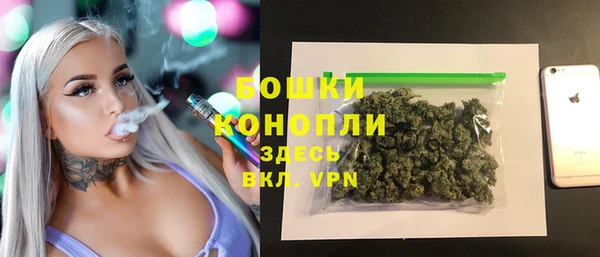 спайс Гусев