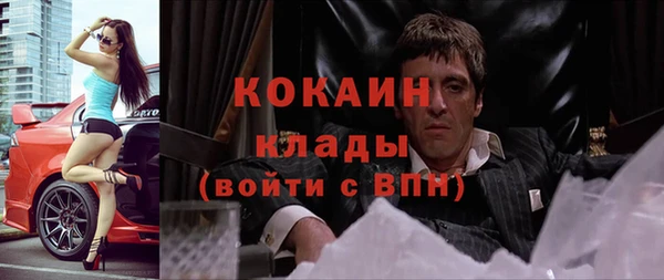 спайс Гусев