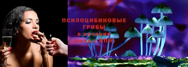 винт Гусь-Хрустальный