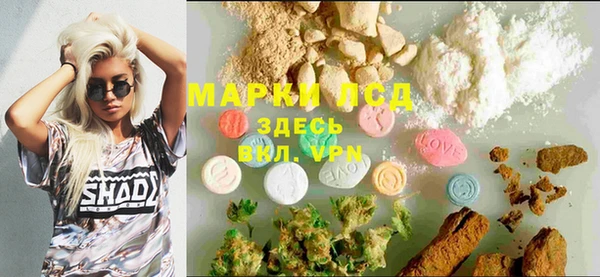 сатива Горнозаводск
