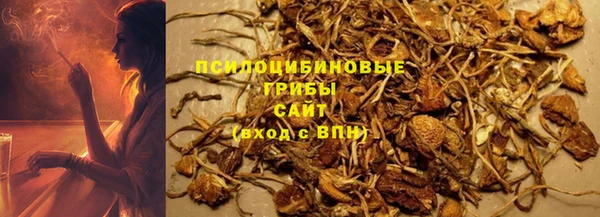 спайс Гусев