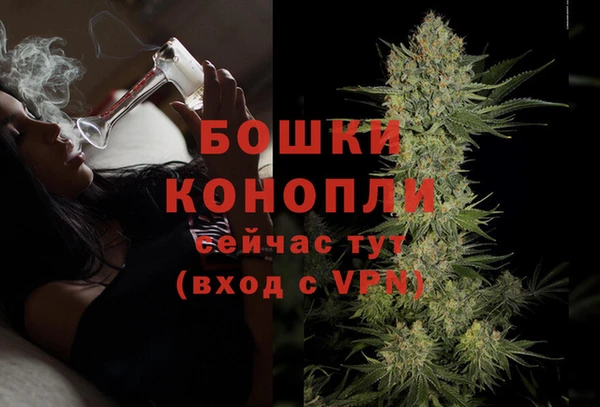 mix Гусиноозёрск