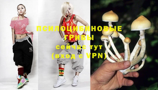 прущие грибы Горно-Алтайск