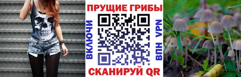 Купить закладки  Озёры  Псилоцибиновые грибы прущие грибы 